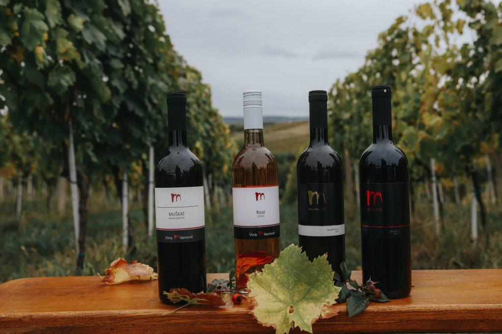 246453727_124226646665583_7261167310054104025_n