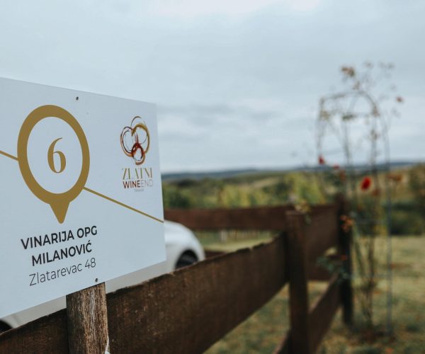 245225365_124226446665603_7001184965180278520_n