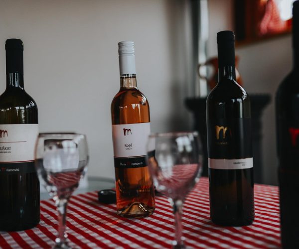 246351595_124226583332256_390650030831809585_n