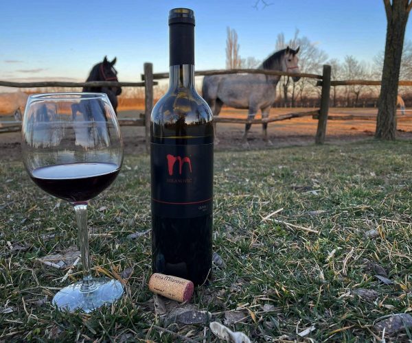 Cuvée Vina Milanović i Đakovački lipicanci